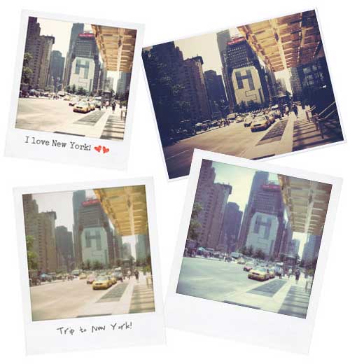 rollip-polaroid rollip-polaroid