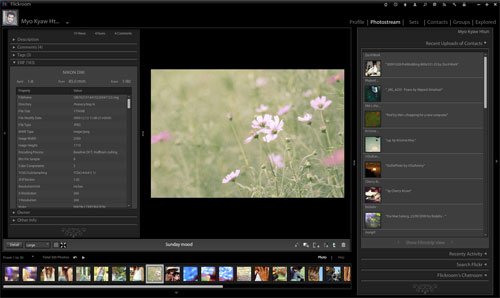 flickrroom