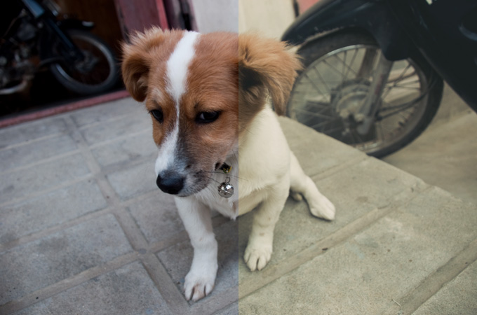 vintage-soft-tone-side-by-side
